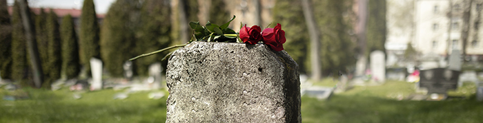 https://estatistica.madeira.gov.pt/download-now/social/saude-pt/2015-11-11-15-01-45/saude-noticias-pt/5912-29-07-2026-em-2024-a-taxa-de-mortalidade-por-tumores-malignos-foi-maior-em-santana-machico-e-funchal-e-mais-baixa-em-camara-de-lobos-porto-moniz-e-calheta.html