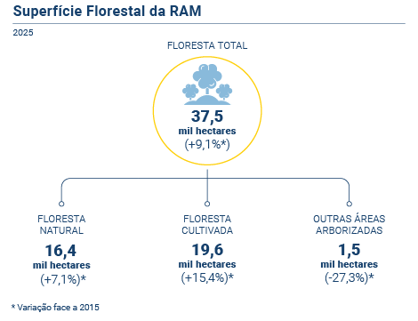 Supeficie Florestal PT
