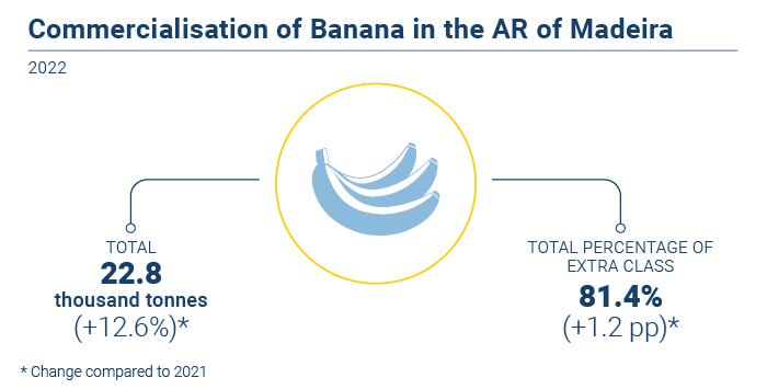 Comercializacao banana EN