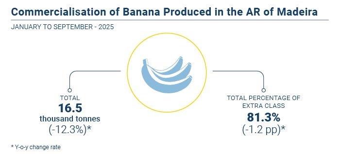 Comercializacao banana EN