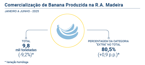 Comercializacao banana PT