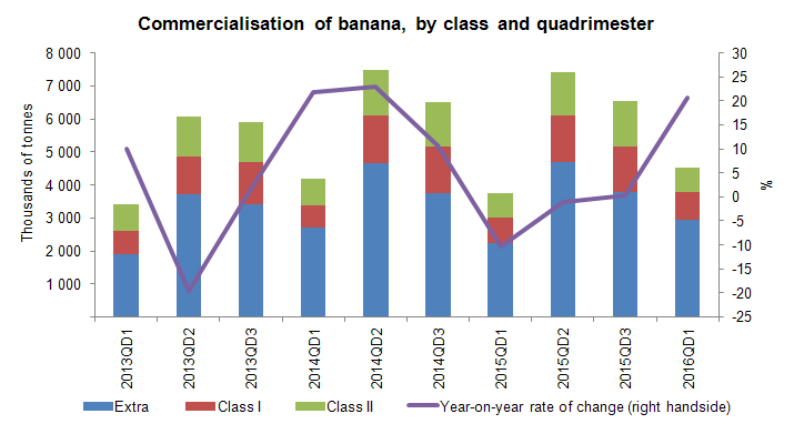 Banana1Q2016ENG