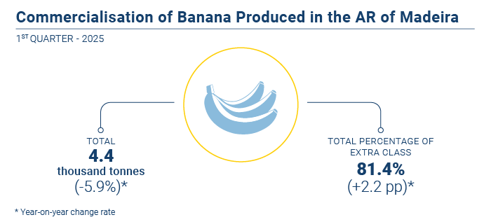 Comercializacao banana EN