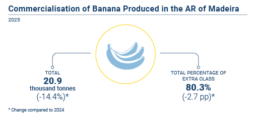Comercializacao banana EN