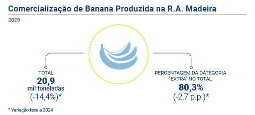 Comercializacao banana PT