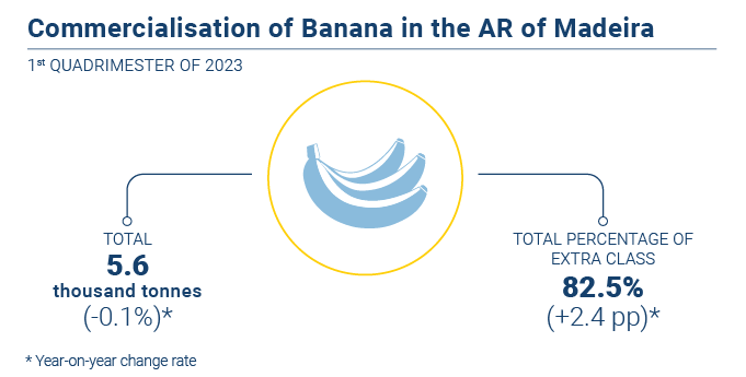 Comercializacao banana EN