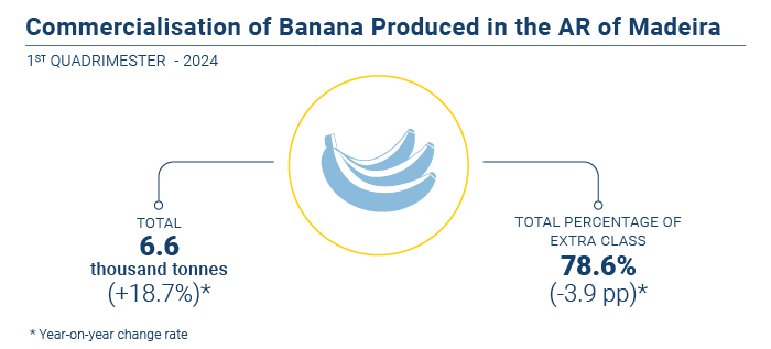 Comercializacao banana EN
