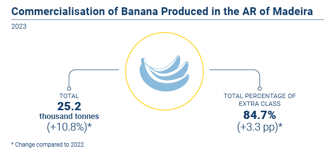 Comercializacao banana EN novo