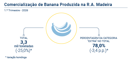 Comercializacao banana PT