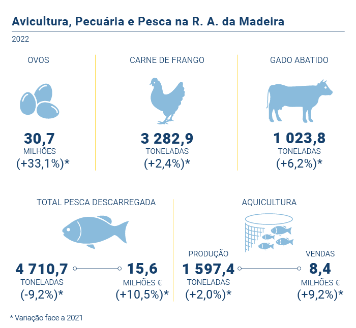Avi pecu pesca a PT novo