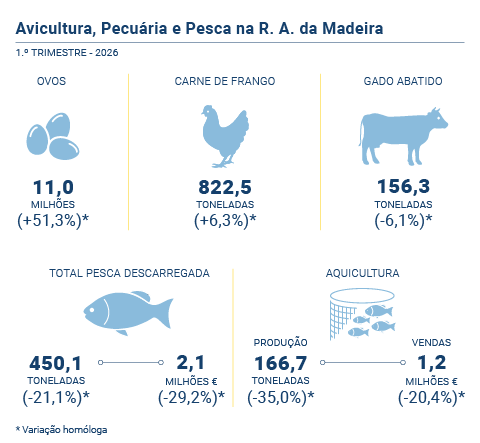 Avi pecu pesca PT