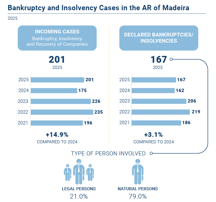 Falencias insolvencias anual EN